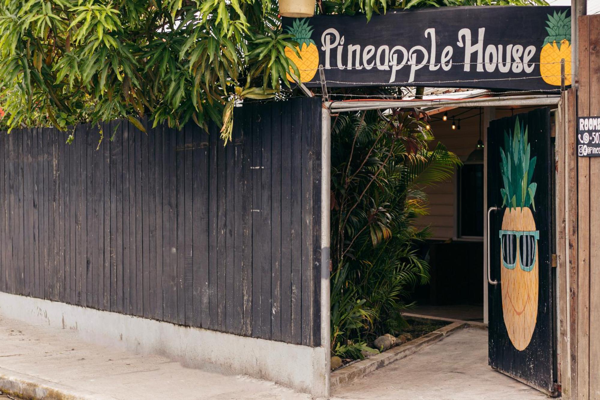 فندق Pineapple House بوكاس تاون المظهر الخارجي الصورة